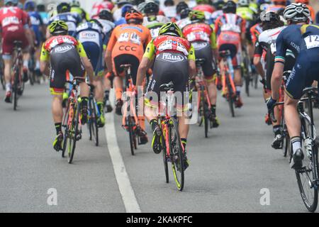 A peloton of riders during the fourth stage, a 118km from Yiti (Al Sifah) to Ministry of Tourism in Muscat, at the 2017 cycling Tour of Oman. On Friday, February 18, 2017, in Al Sifah, Yiti, Oman. Photo by Artur Widak *** Please Use Credit from Credit Field ***  Stock Photo