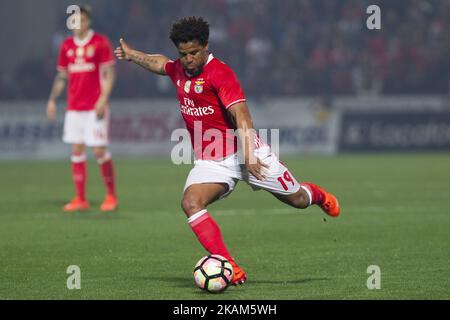 Benfica's Portuguese defender Eliseu during the Premier League 2016 - 2017 match between Pacos Ferreira and SL Benfica, at Mata Real Stadium in Pacos de Ferreira on March 18, 2017. (Photo by Pedro Lopes / DPI / NurPhoto) *** Please Use Credit from Credit Field *** Stock Photo