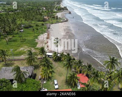 The ocean waves touching the coastline with the palm beach view, Playa El Espino, Usulutan, El Salvador, aerial Stock Photo