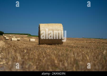 Large round Straw bales in a stubble Swiss field under blue sky in bright sunlight Stock Photo
