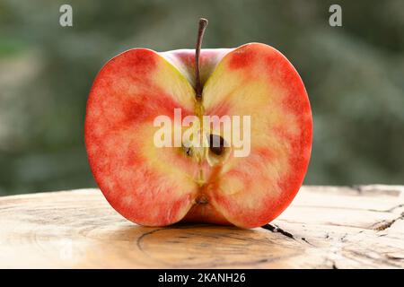 Close up of apple type with red, white, yellow and pink pulp inside Stock Photo