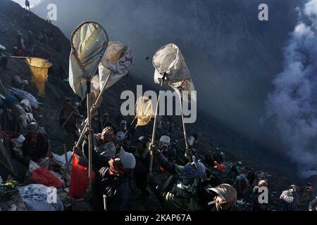 Villagers waits to catch the offerings thrown by Tenggerese worshippers during the Yadnya Kasada Festival at crater of Mount Bromo in Probolinggo, East Java, Indonesia on July 10, 2017. Yadnya Kasada Festival is the main festival of the Tenggerese people and lasts about a month. On the fourteenth day, the Tenggerese make the journey to Mount Bromo to make offerings of rice, fruits, vegetables, flowers and livestock to the mountain gods by throwing them into the volcano's caldera. (Photo by Nugroho Hadi Santoso/NurPhoto) *** Please Use Credit from Credit Field *** Stock Photo