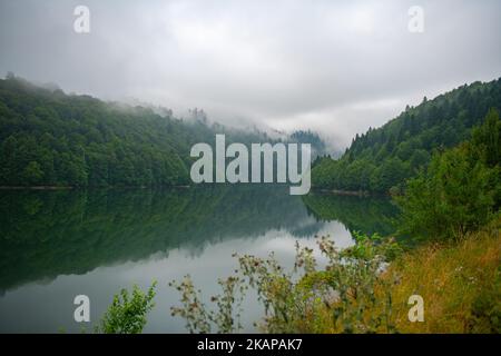 beautiful view of the Shaor reservoir in summer Stock Photo