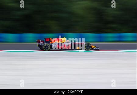 Max Verstappen of Netherland and Red Bull Racing driver goes during the free practice session at Pirelli Hungarian Formula 1 Grand Prix on Jul 28, 2017 in Mogyoród, Hungary. (Photo by Robert Szaniszló/NurPhoto) *** Please Use Credit from Credit Field *** Stock Photo