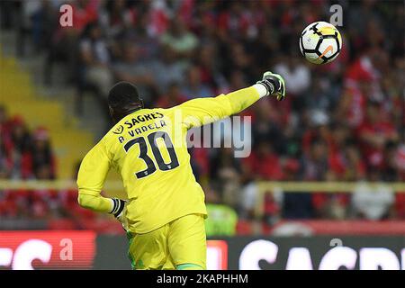 Benfica«s goalkeeper Bruno Varela from Portugal celebrating a goal scored  by Benfica«s forward Jonas from Brazil during the Candido Oliveira Super  Cup match between SL Benfica and Vitoria Guimaraes at Municipal de