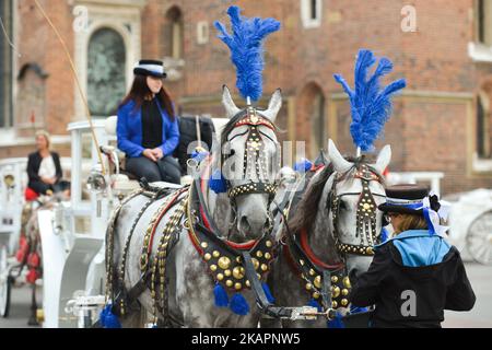 A view of horses and carriage in Krakow's Main Market Square. On Wednesday, August 22, 2017, in Krakow, Poland. (Photo by Artur Widak/NurPhoto)  Stock Photo
