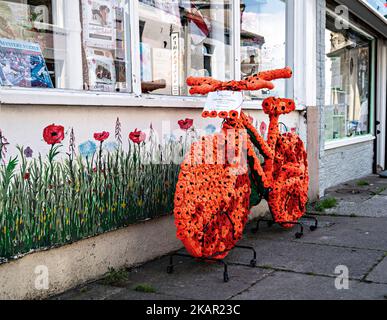 Decorated Poppy Appeal bicycle in street Stock Photo