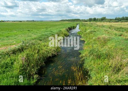 The small river Uherka in eastern Poland, summer day Stock Photo