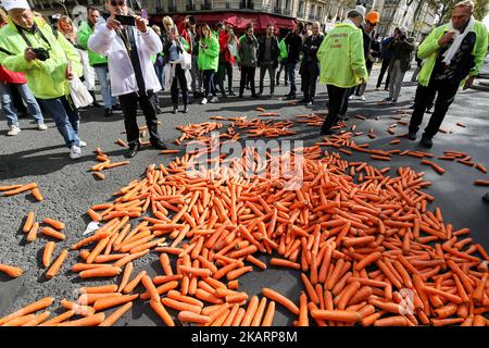 carrot cigarettes Tobacconists throw carrots on the street as they demonstrate against the  increase to 10 euros of