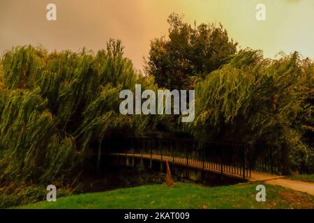 The sky over a park in south London, UK turns red on October 16, 2017. As storm Ophelia passes over the UK and Ireland, sand from the Sahara is carried over the UK making the sky darken and turn red. (Photo by Jay Shaw Baker/NurPhoto) Stock Photo