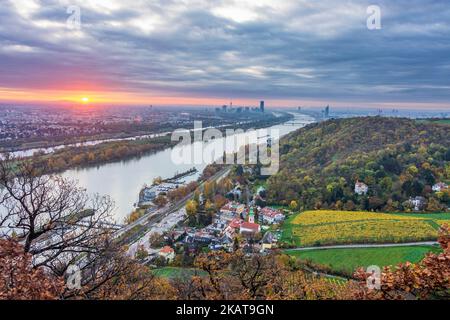 Wien, Vienna: sunrise at Vienna, vineyards, river Donau (Danube) and Neue Donau (New Danube, left), tower Donauturm, DC Tower 1, Millennium Tower, ham Stock Photo