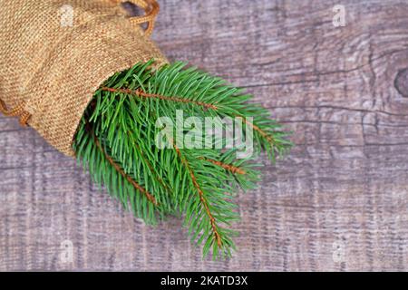 Jute bag with spruce branch Stock Photo