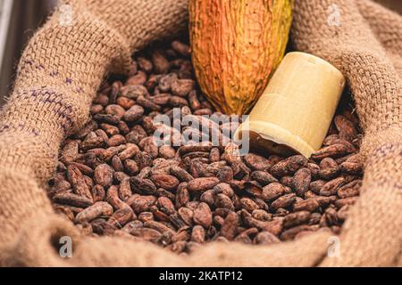 Roasted beans or seeds of Theobroma cacao or cocoa in a jute sack with a ripe fruit, close up Stock Photo