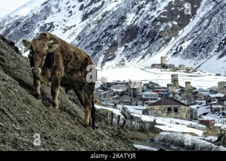 Snow covered Ushguli village at the foot of Mt. Shkhara in Georgia. Ushguli is part of the Upper Svaneti area that is in the list of UNESCO World Heritage Sites. People still life in a rural way and use their old heritage, their unique towers. It is also one of the highest inhabited village in Europe. (Photo by Nicolas Economou/NurPhoto) Stock Photo