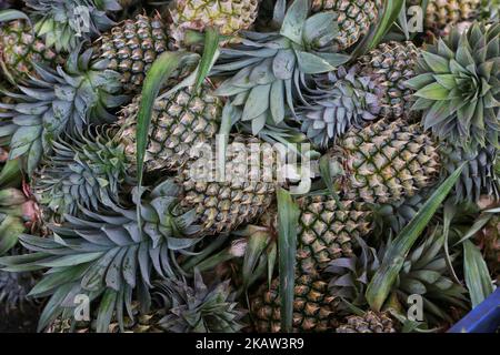 Freshly harvested pineapples at a pineapple farm in a remote area in Mannar, Sri Lanka. This farm grows organic and bio-dynamic pineapples as well as employs farm workers living in underprivileged areas of Sri Lanka to improve their standard of living. (Photo by Creative Touch Imaging Ltd./NurPhoto) Stock Photo