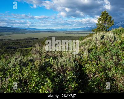 View over Cow Lake to the Snake River from Signal Mountain, Grand Teton National Park, Wyoming, USA, June 2019 Stock Photo