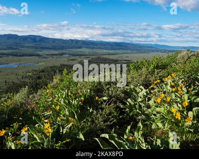 View over Cow Lake to the Snake River from Signal Mountain, Grand Teton National Park, Wyoming, USA, June 2019 Stock Photo