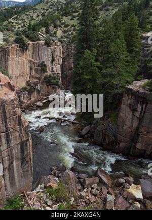 Shell Falls on Shell Creek and wooded hillsides, Shell Canyon, Bighorn National Forest, Wyoming, USA, July 2019 Stock Photo