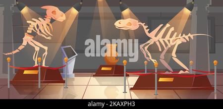 Empty historical museum interior of paleontology with dinosaur skeleton and ancient artifacts. Cartoon exhibition hall with exhibits of archeology, prehistoric animals. Archaeological dino on pedestal Stock Vector