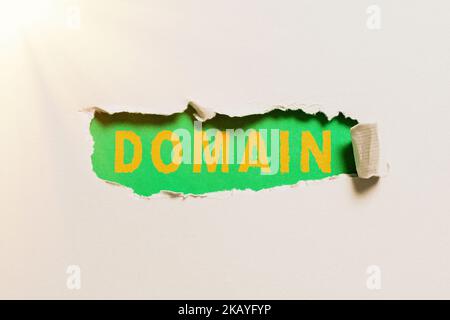 Text caption presenting Domain. Word Written on identification string that defines a realm of administrative autonomy Businessman In Suit Pointing Stock Photo