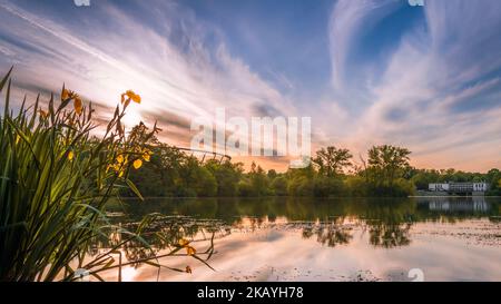 Silesian Park in Chorzów. View of the pond. In the foreground, flowers growing on the shore. In the background, there is a cafe and a Silesian stadion Stock Photo
