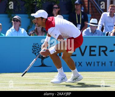 Novak Djokovic (SRB) in action during Fever-Tree Championships Final match between Marin Cilic (CRO) against Novak Djokovic (SRB) at The Queen's Club, London, on 24 June 2018 (Photo by Kieran Galvin/NurPhoto) Stock Photo