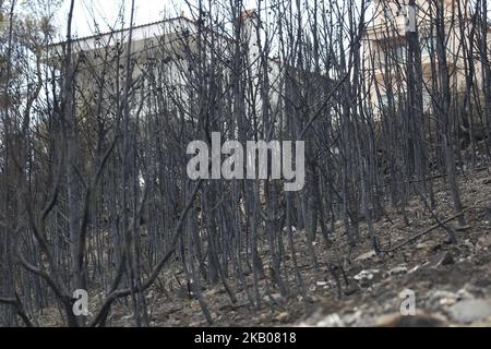 Pictures from the wider area of Mati and Neos Voutsas in eastern Attica near Athens after the fire. The fire that took place on 23 of July 2018 was one of the worsts in the century. The death count has been raised to 88 victims. Many people are still missing and the research is still going on. The area is still without electricity. The first count was that 2500 houses have been destroyed. July 28, 2018 - Mati, Attica, Greece (Photo by Nicolas Economou/NurPhoto) Stock Photo