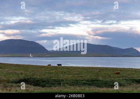 View of Hoy High Lighthouse from Button-Ben Guest House ,  isle of Graemsay  Orkney, Scotland, UK Stock Photo