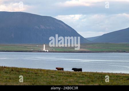 View of Hoy High Lighthouse from Button-Ben Guest House ,  isle of Graemsay  Orkney, Scotland, UK Stock Photo