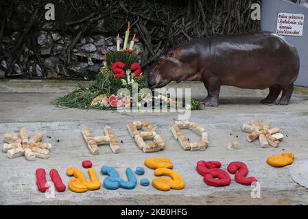 A female hippopotamus named 'Mali', which means Jasmine, eats fruits arranged to look like a cake during her 52th birthday celebration at Dusit Zoo in Bangkok, Thailand on August 24, 2018. (Photo by Chaiwat Subprasom/NurPhoto) Stock Photo