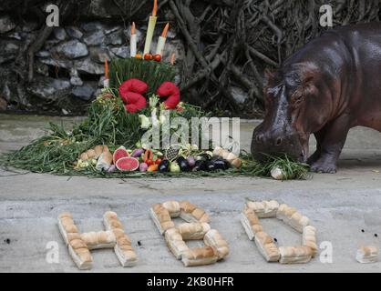 A female hippopotamus named 'Mali', which means Jasmine, eats fruits arranged to look like a cake during her 52th birthday celebration at Dusit Zoo in Bangkok, Thailand on August 24, 2018. (Photo by Chaiwat Subprasom/NurPhoto) Stock Photo