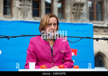 The vice chairwoman of the Alternative for Germany (AfD) Beatrix von Storch held a short speech in Munich, Germany on September 8, 2018. Before that the candidates from Munich were presented. (Photo by Alexander Pohl/NurPhoto) Stock Photo