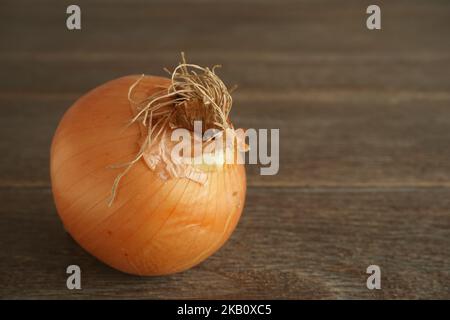 an onion, in its peel, isolated Stock Photo