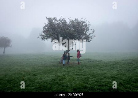 Two girls and a boy standing in the mist carrying their backpacks, standing by a small tree in the middle of a field. Stock Photo