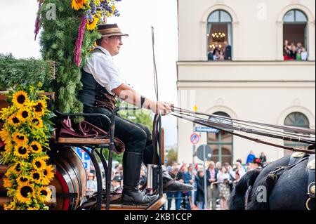 September 23rd, Munich. World-famous procession on the first Sunday of the Oktoberfest. A varied succession of regional costume groups, 'troops' in historical uniforms, marching bands, riflemen, thoroughbred horses, oxen, cows, goats, the decorated drays of the Munich breweries, floats displaying typical local traditions and historic carriages all pass by in a 7-kilometer-long procession through the streets of the city center. (Photo by Romy Arroyo Fernandez/NurPhoto) Stock Photo