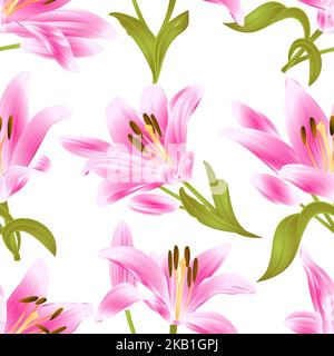 Seamless texture Pink Lily  Lilium candidum,flower with leaves and bud on a white background  vintage vector illustration editable hand drawn Stock Vector