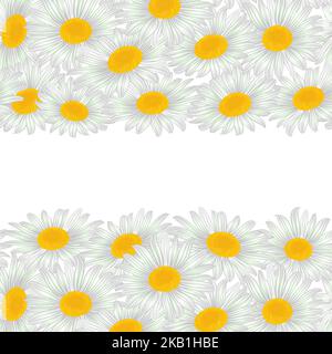Floral border seamless horizontal background spring white flowers daisies  vintage vector Illustration for use in interior design, artwork, dishes, cl Stock Vector