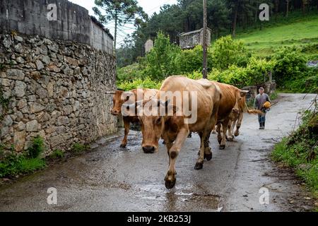 May-June 2018, Spain. The Camino de Santiago (the Way of St. James) is a large network of ancient pilgrim routes stretching across Europe and coming together at the tomb of St. James (Santiago in Spanish) in Santiago de Compostela in north-west Spain. Finisterre (Fisterra in Galician) was both the end of the known world until Columbus altered things and the final destination of many of the pilgrims who made the journey to Santiago in past centuries. Pilgrims in past centuries also continued northwards up the coast to the Santuario de Nuestra Señora de la Barca in Muxía, 29km north of the “end  Stock Photo