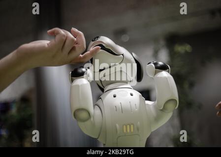 Cane robot Sony AIBO in bianco e nero con osso giocattolo del cane  fotografato su sfondo bianco Foto stock - Alamy