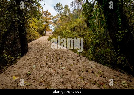 View of the Indiana Sand Dunes State Park in Chesterton, IN, United States on October 29, 2018. (Photo by Patrick Gorski/NurPhoto) Stock Photo