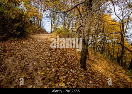 View of the Indiana Sand Dunes State Park in Chesterton, IN, United States on October 29, 2018. (Photo by Patrick Gorski/NurPhoto) Stock Photo