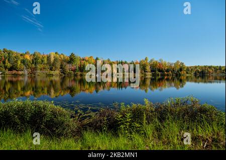 Fall colors trees reflecting on lake Stock Photo