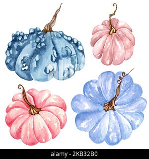 Watercolor set of pumpkins orange, blue and green colors with leaves ...