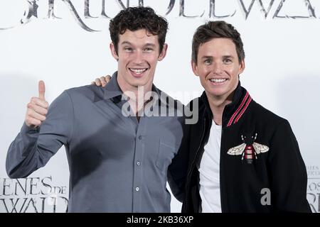 English actor Callum Turner and british actor Eddie Redmayne attends to presentation of film 'Fantastic Beasts: The Crimes of Grindelwald' (Animales Fantásticos: Los Crímenes de Grindelwald) at Hotel Villa Magna in Madrid, Spain. November 16, 2018. (Photo by BorjaB.Hojas/COOLMedia/NurPhoto) Stock Photo