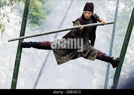 ZHANG ZIYI, HOUSE OF FLYING DAGGERS, 2004 Stock Photo