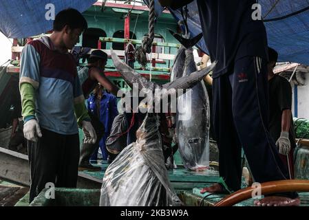 Fishermen loading a yellowfin tuna from a ship in Jakarta on December 5, 2018. (Photo by Anton Raharjo/NurPhoto) Stock Photo