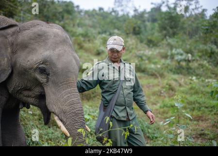 Seven-year-old elephant with the mahout (elephant keeper) in the Elephant Conservation Center, Sayaboury, Laos, in December 2018. Laos was known as ‘The land of a million elephants’ in the past, today the elephant population in the country stands at around 800 individuals. Half of them is made up of captive elephants, and their number is in decline; the owners are not interested in breeding animals (the cow needs at least four years out of work during her pregnancy and lactation), illegal trafficking to China and other neighboring countries continues. Against this backdrop, the Elephant Conser Stock Photo