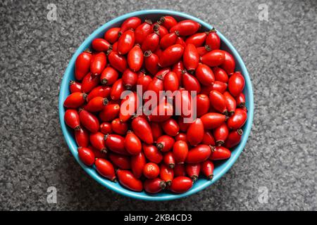 Freshly foraged fresh red rose hips berries in a bowl Stock Photo