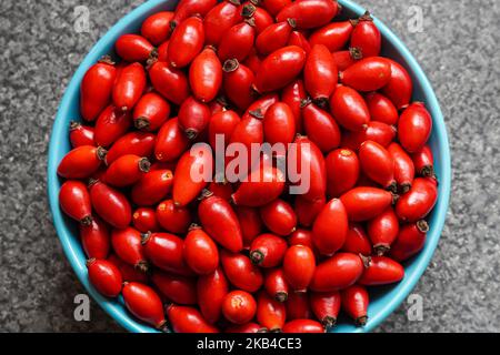 Freshly foraged fresh red rose hips berries in a bowl Stock Photo