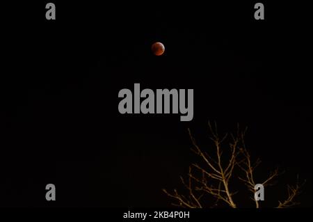 January 21st, Nijmegen. The lunar eclipse began on the 21 of January 2019, at around 5.41 AM. The bloody moon was most visible at around 6.12 in the morning. The weather conditions during the eclipse were very favorable in pretty much all of the Netherlands with clear skies. (Photo by Romy Arroyo Fernandez/NurPhoto) Stock Photo